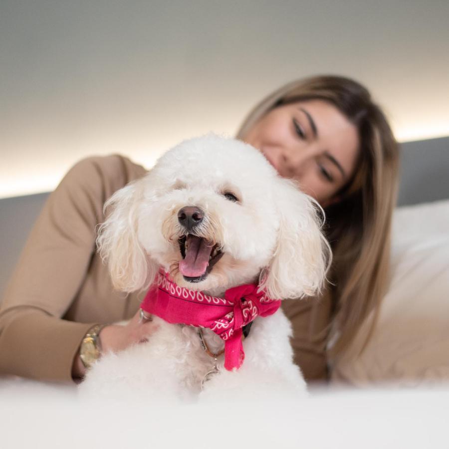 Arryvo Hotel Lecce Zewnętrze zdjęcie